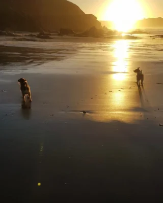 Instagram post from thebeaconbigburyonsea. This post is in position 20.