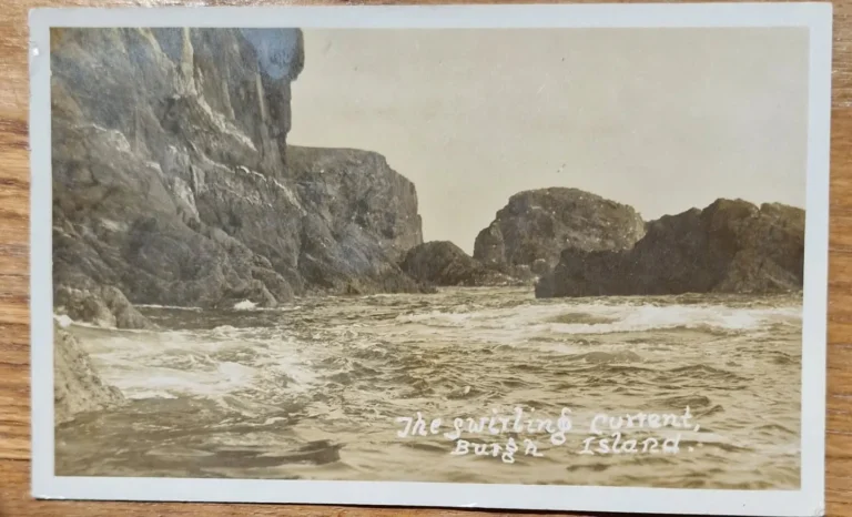 Instagram post from thebeaconbigburyonsea. This post is in position 1.