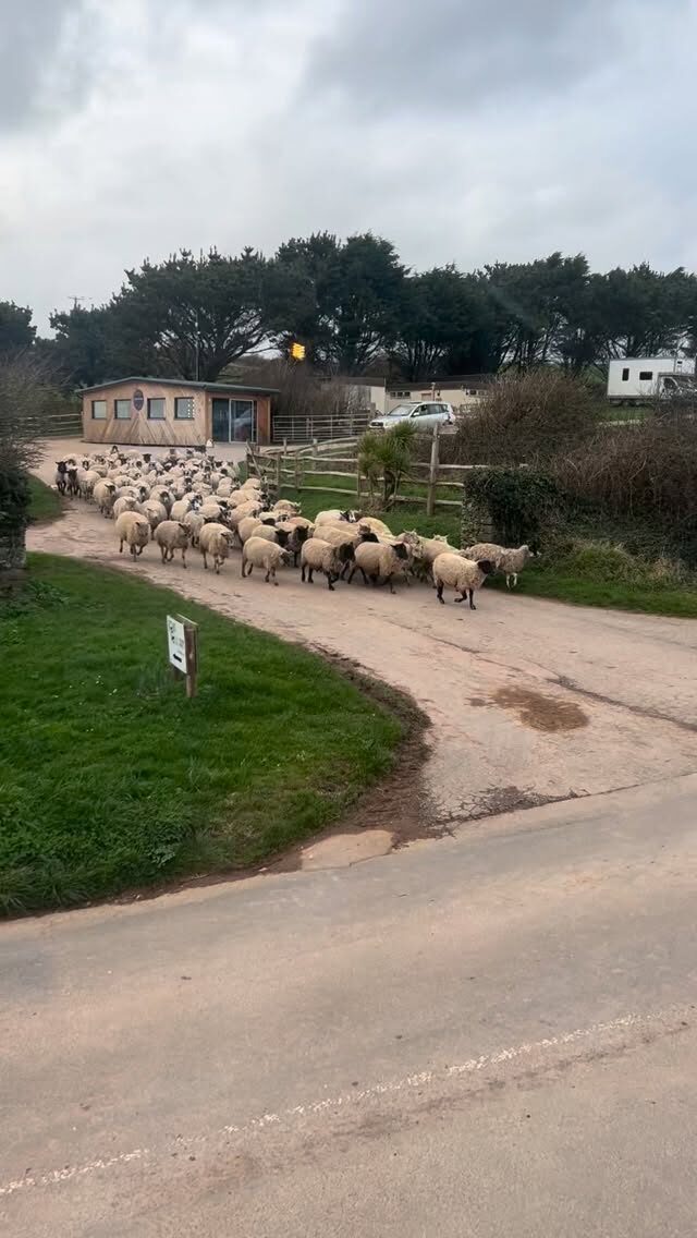 Instagram post from thebeaconbigburyonsea. This post is in position 0.