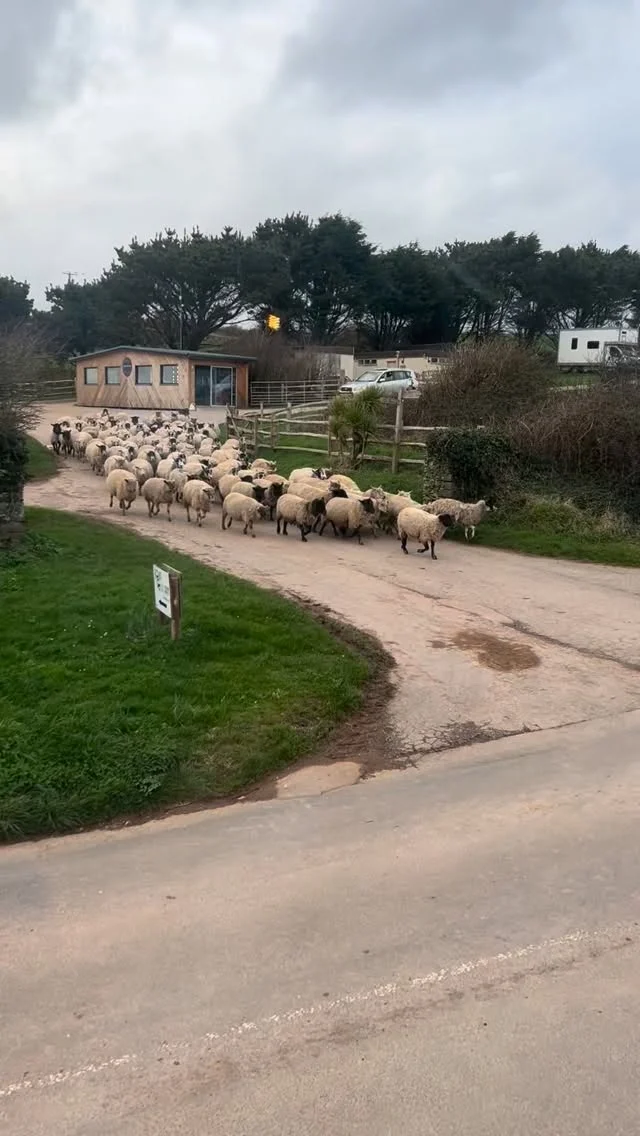 Instagram post from thebeaconbigburyonsea. This post is in position 0.