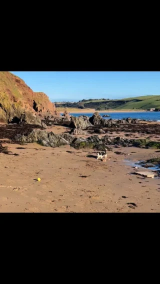 Instagram post from thebeaconbigburyonsea. This post is in position 2.