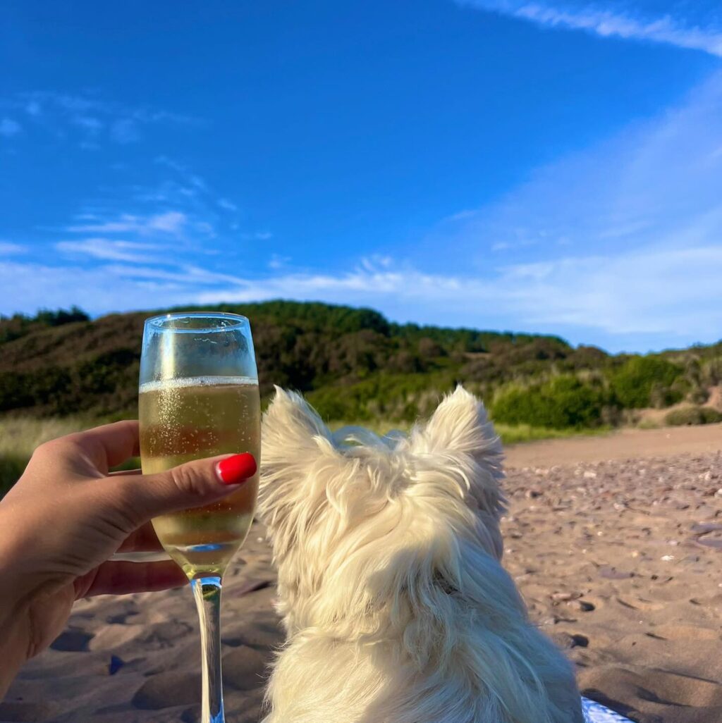 Instagram post from thebeaconbigburyonsea. This post is in position 2.